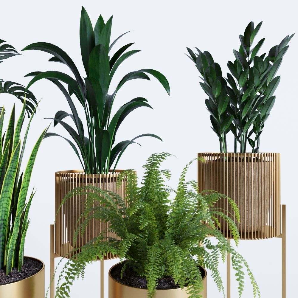 plant collection RPM 01 3D model_2