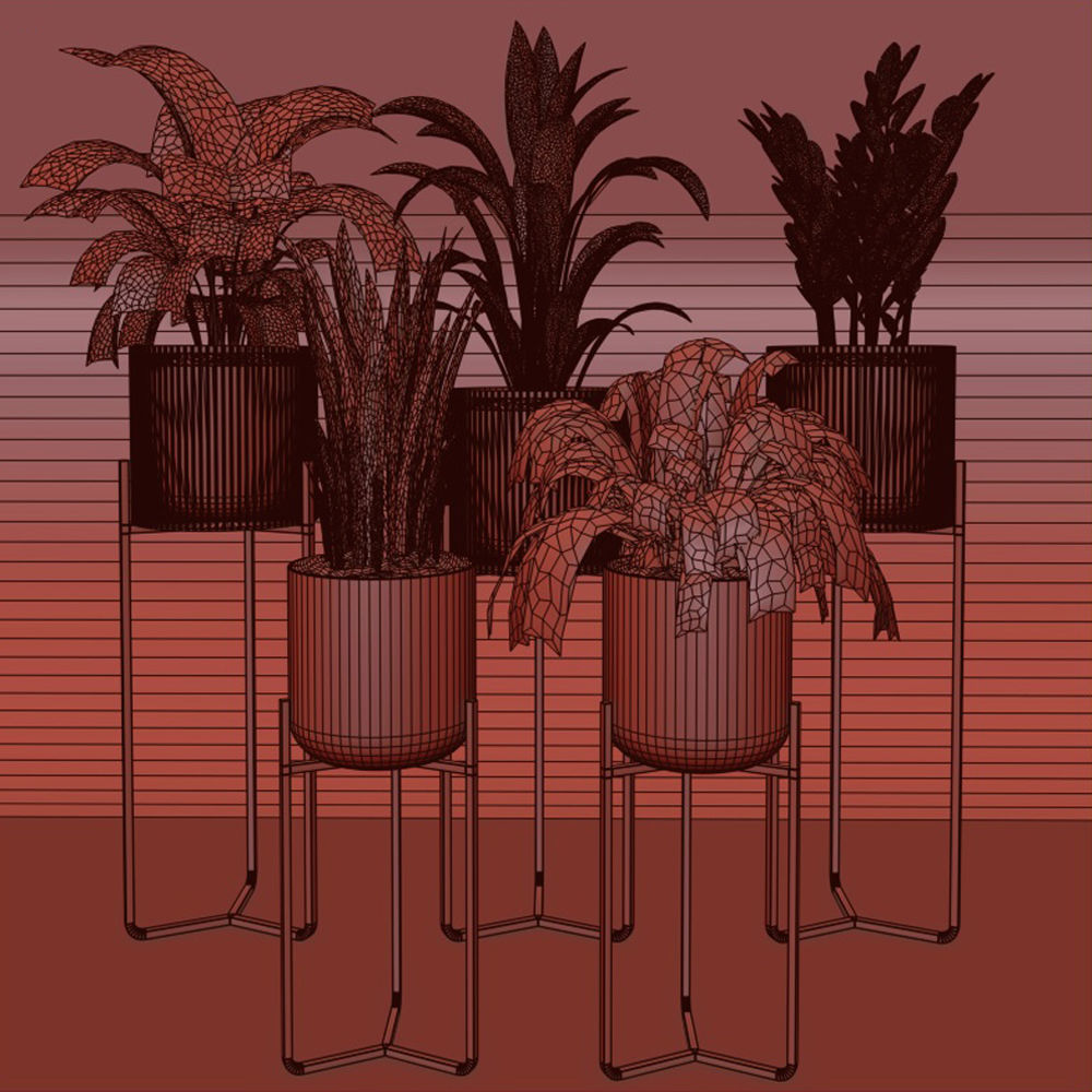 plant collection RPM 01 3D model_3