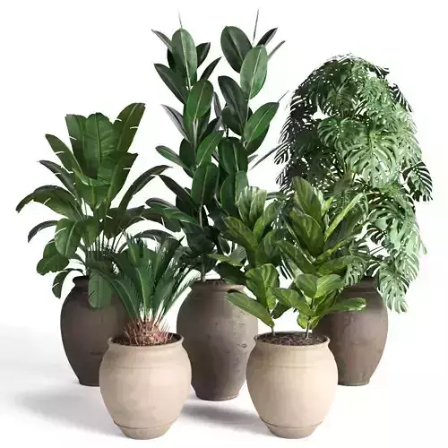 plant collection RPM 02 3D model