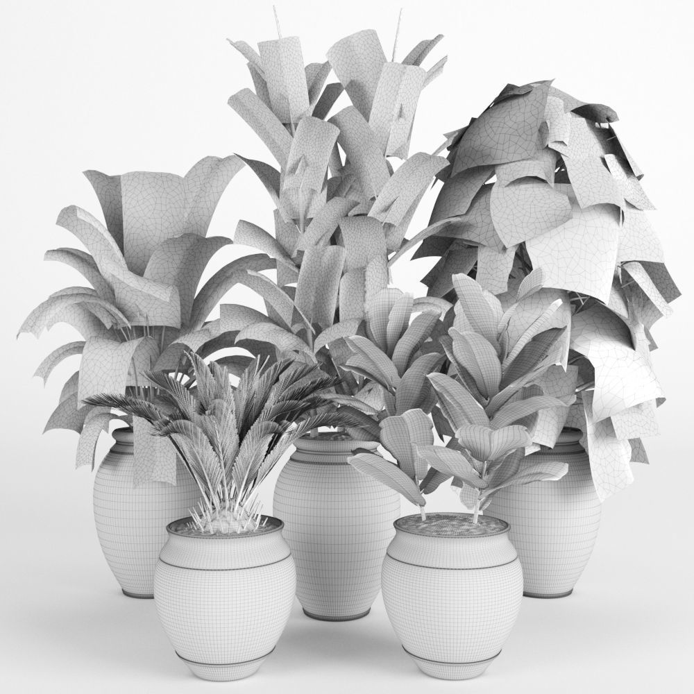 plant collection RPM 02 3D model_3