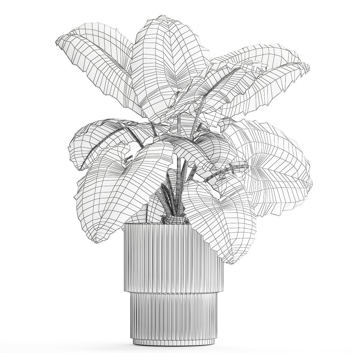 Beautiful ornamental plant in a flower pot bush Alocasia 1253 3D model_10