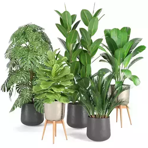 plant collection RPM 03 3D model