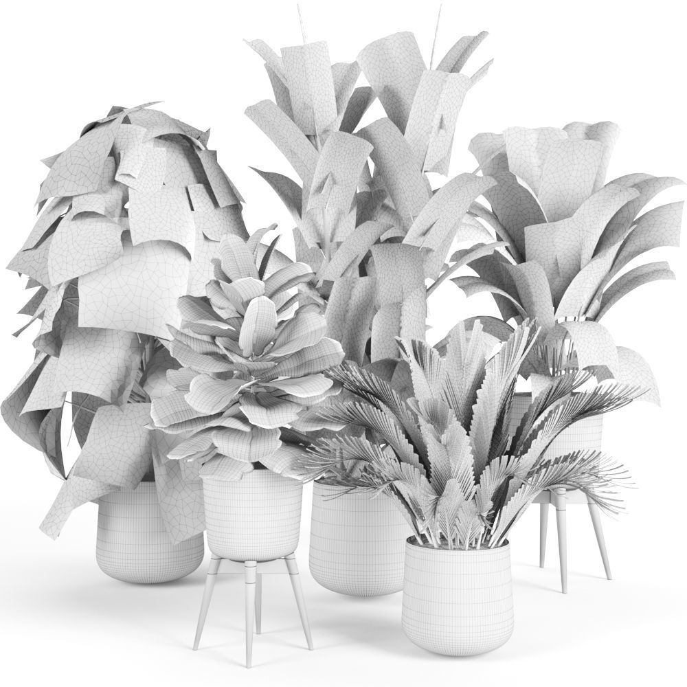 plant collection RPM 03 3D model_3