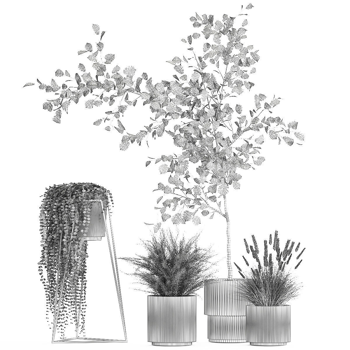 Beautiful tree and plants for the interior in pots 1254 3D model_11