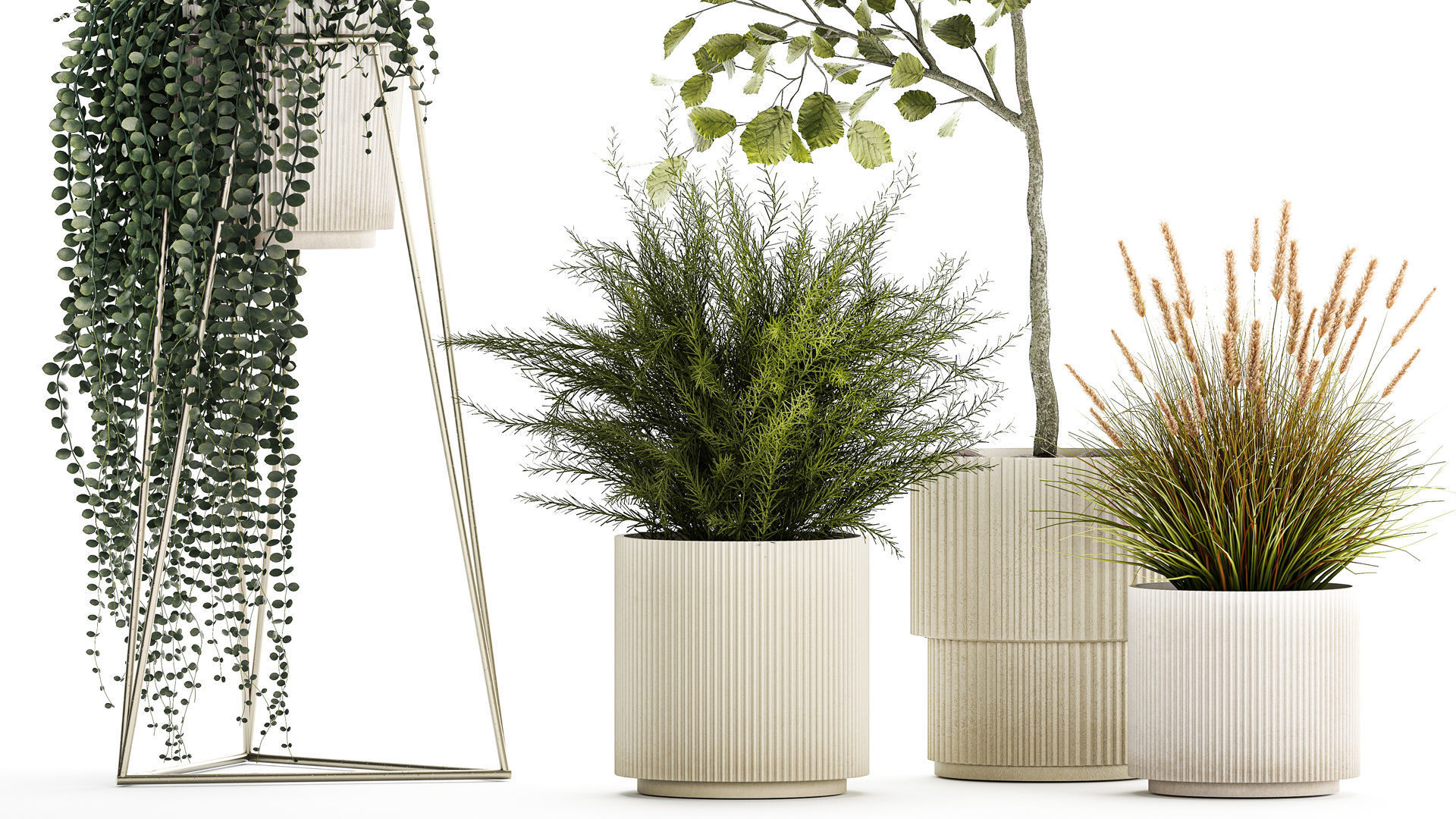 Beautiful tree and plants for the interior in pots 1254 3D model_3