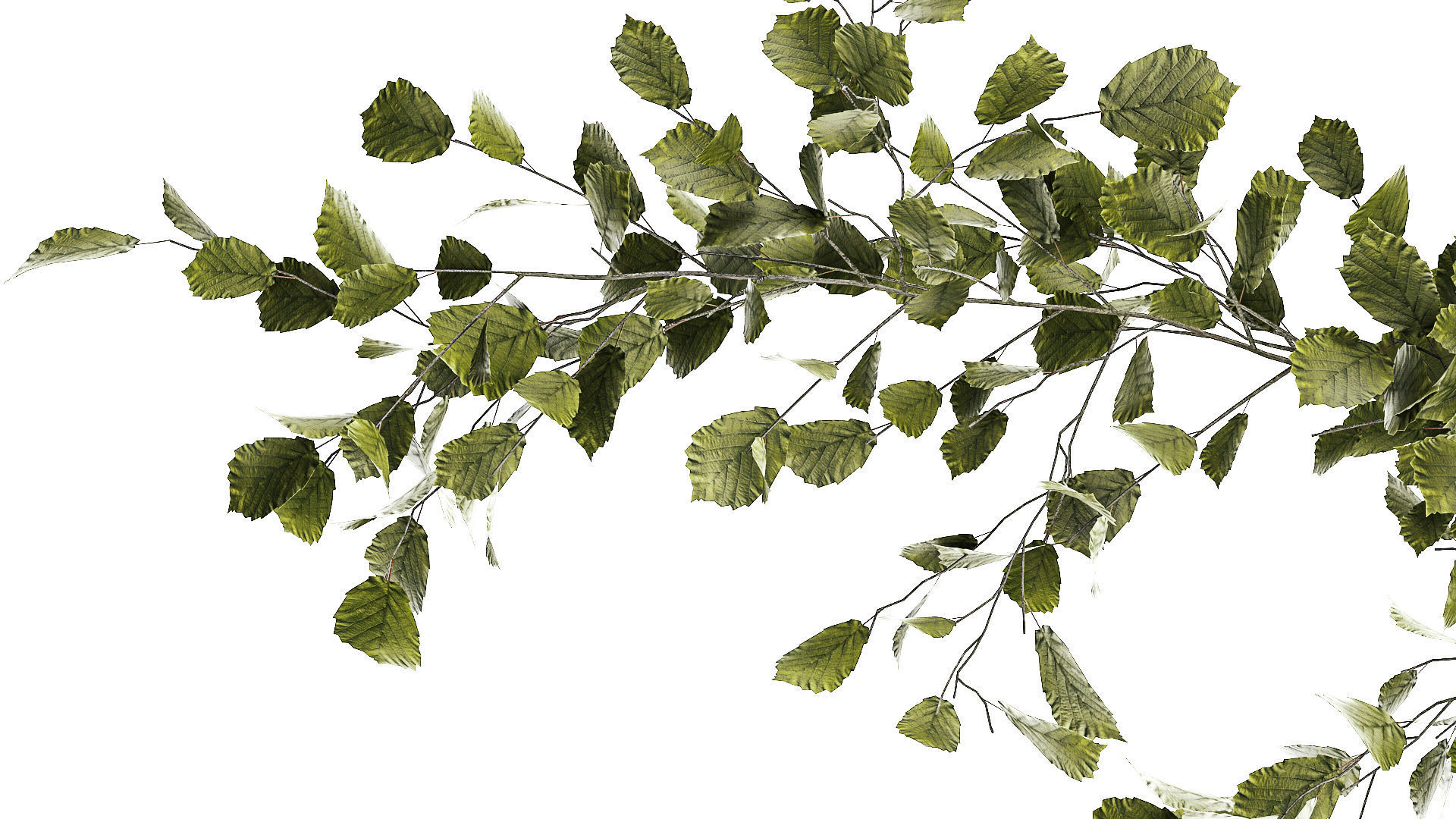 Beautiful tree and plants for the interior in pots 1254 3D model_5