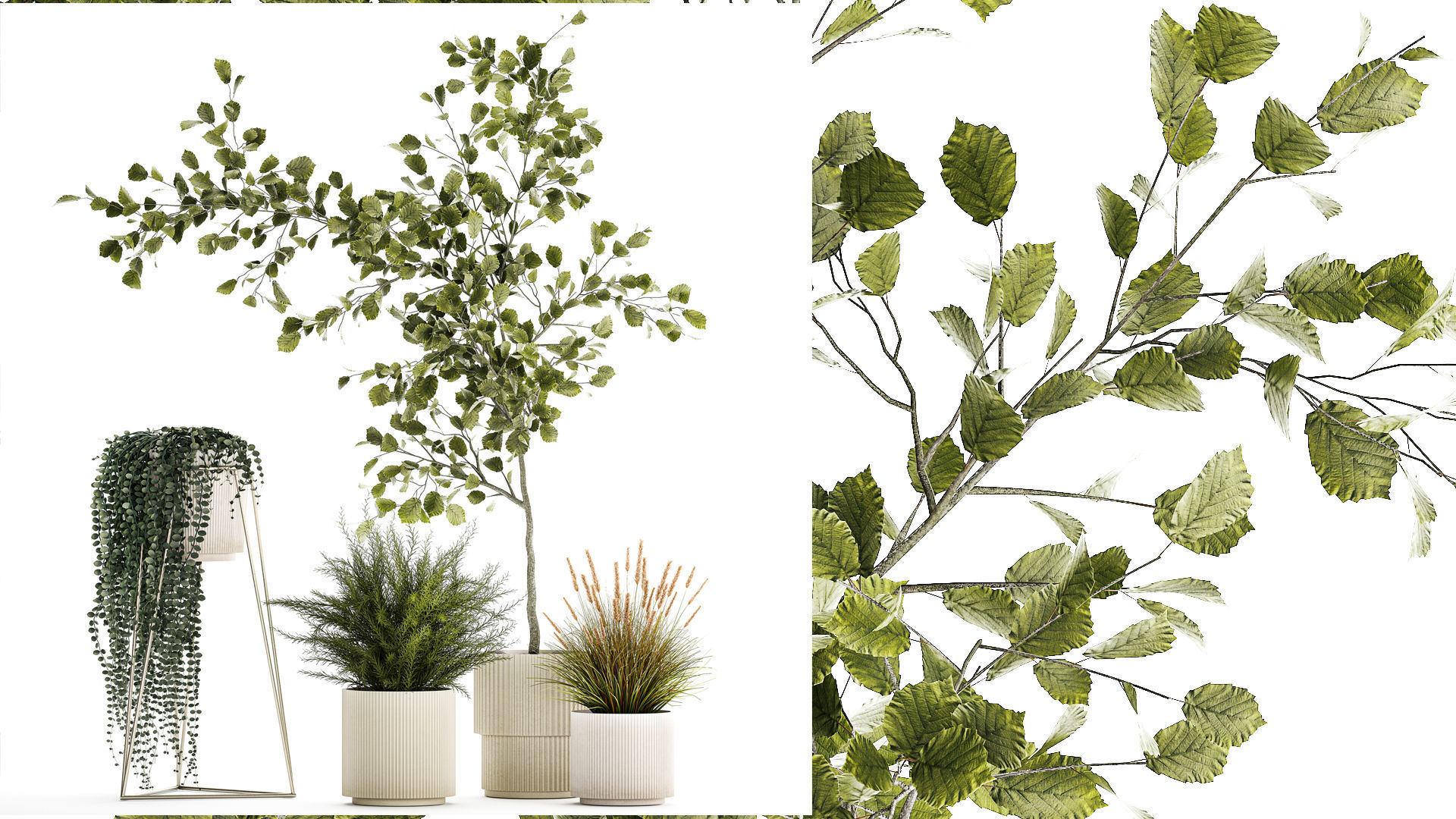 Beautiful tree and plants for the interior in pots 1254 3D model_1