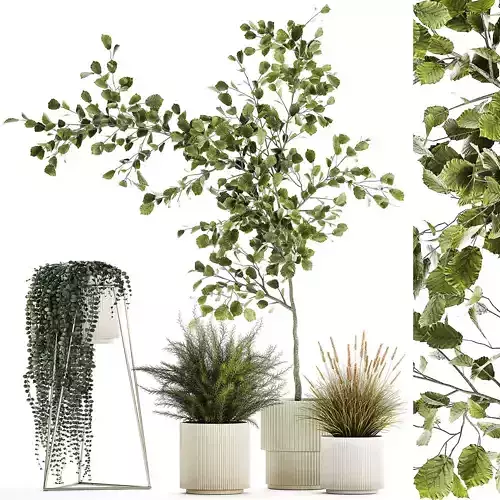 Beautiful tree and plants for the interior in pots 1254 3D model