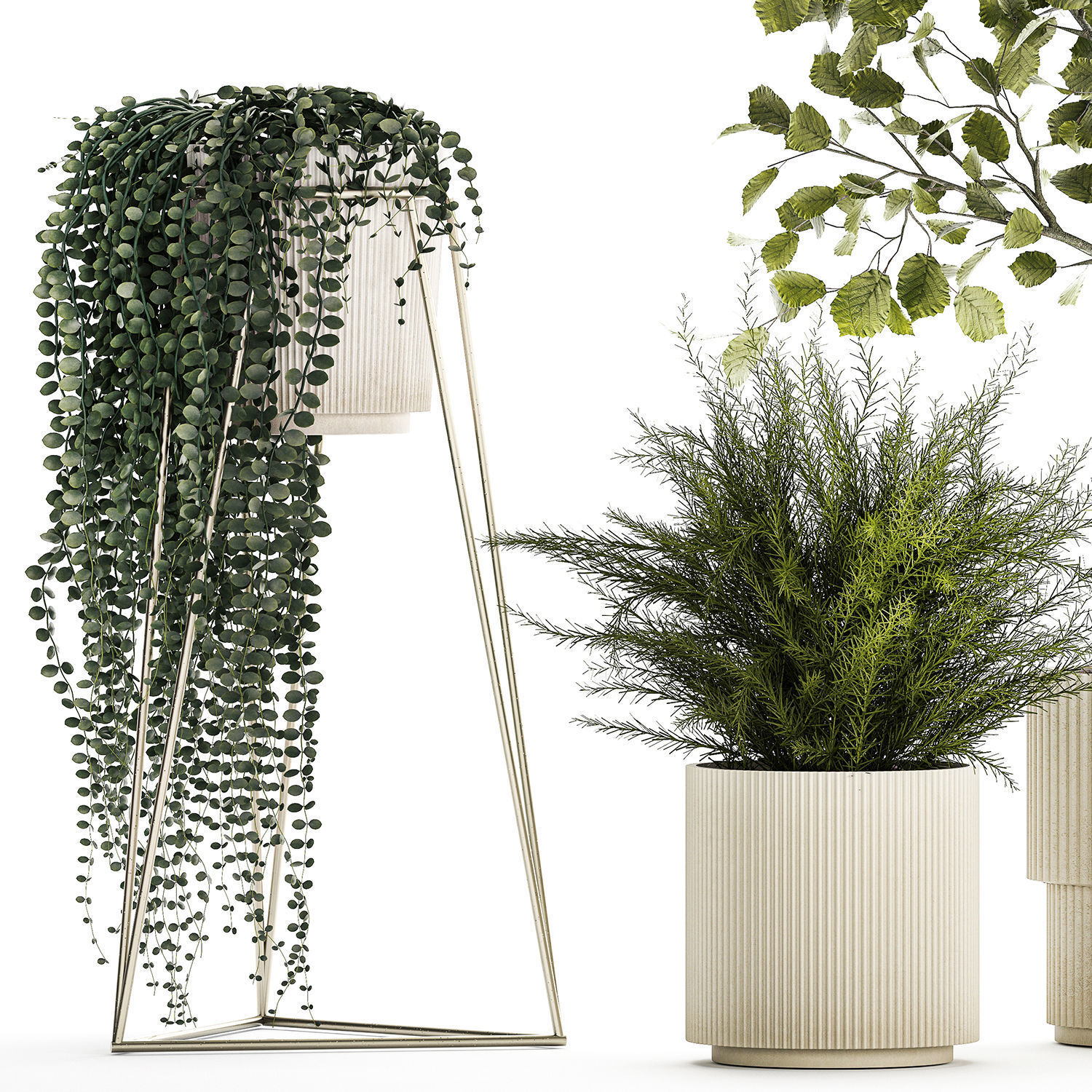 Beautiful tree and plants for the interior in pots 1254 3D model_9