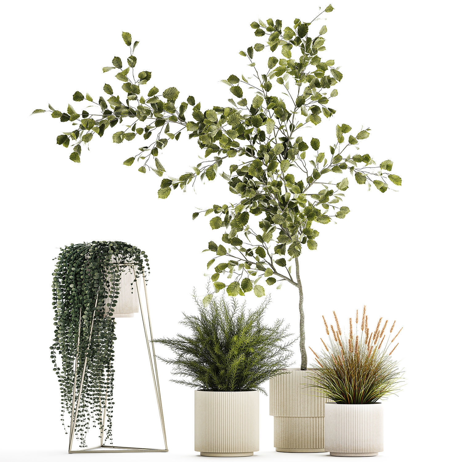 Beautiful tree and plants for the interior in pots 1254 3D model_6