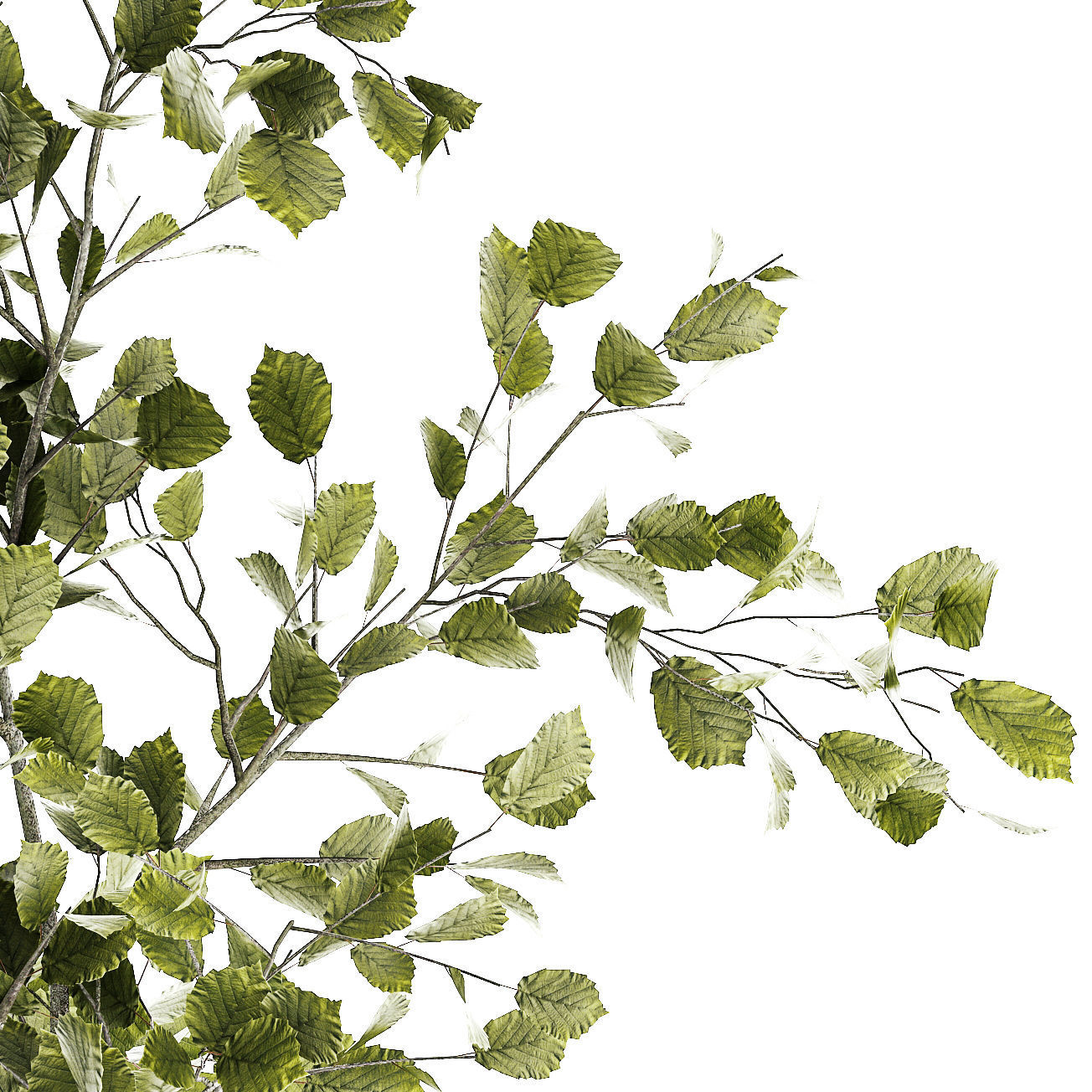 Beautiful tree and plants for the interior in pots 1254 3D model_10