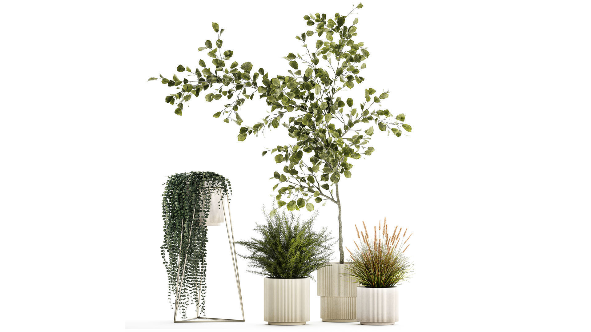 Beautiful tree and plants for the interior in pots 1254 3D model_2