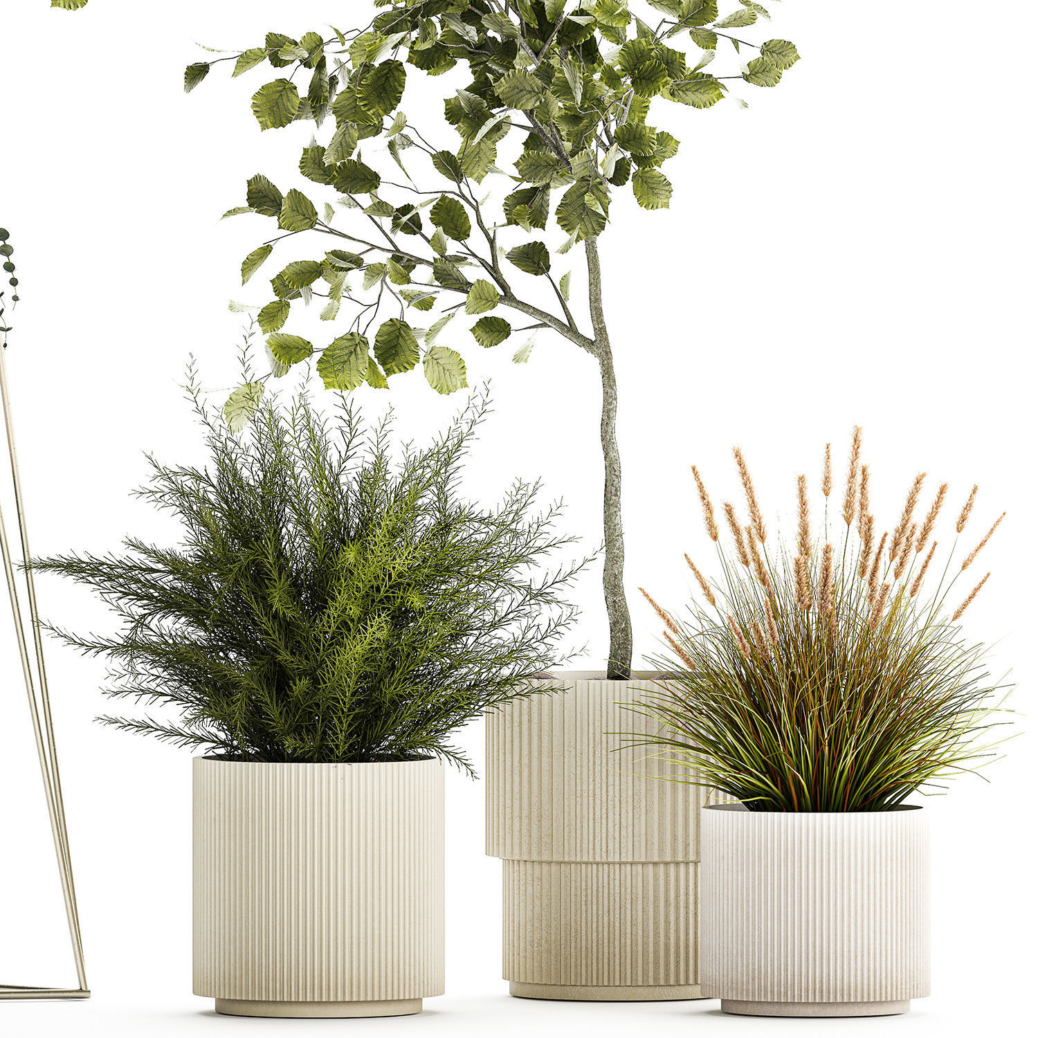 Beautiful tree and plants for the interior in pots 1254 3D model_8