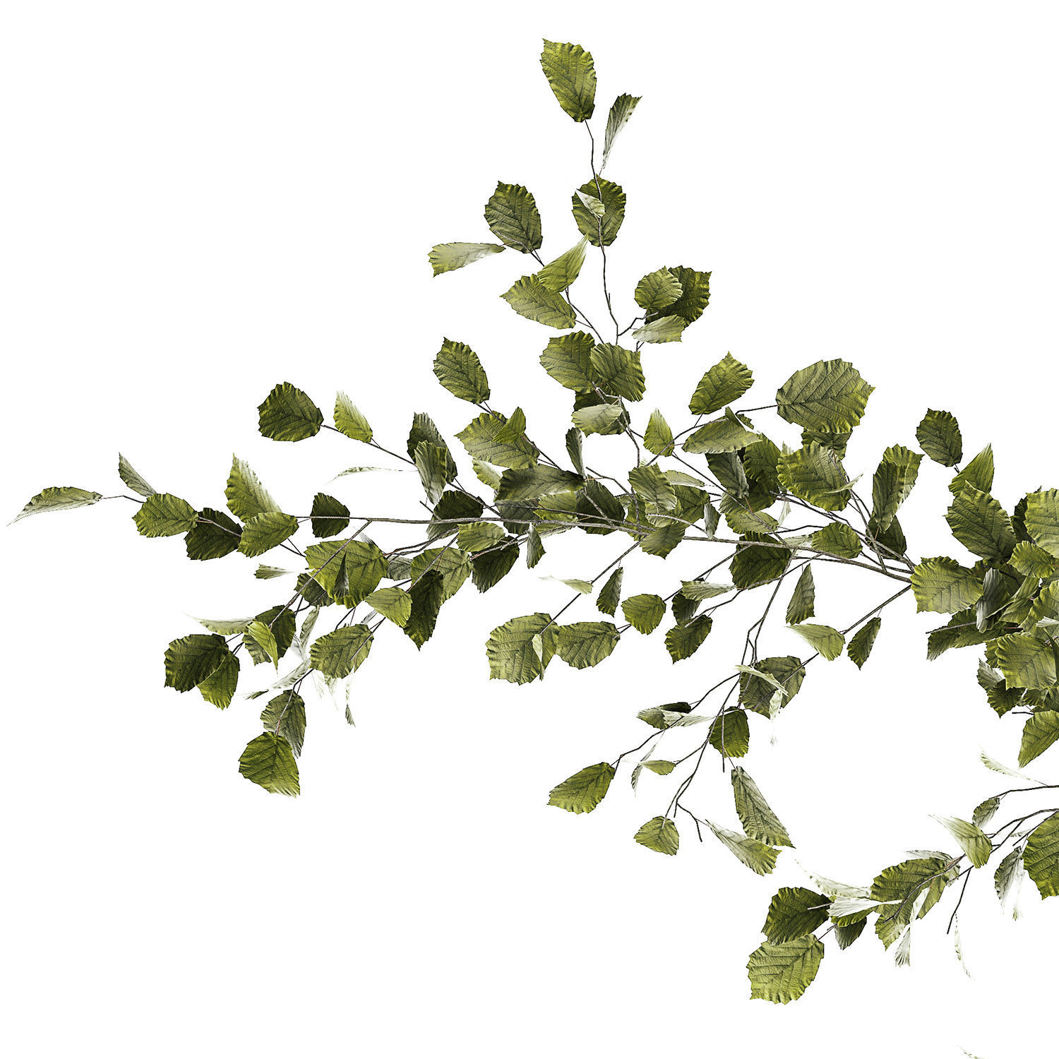 Beautiful tree and plants for the interior in pots 1254 3D model_7