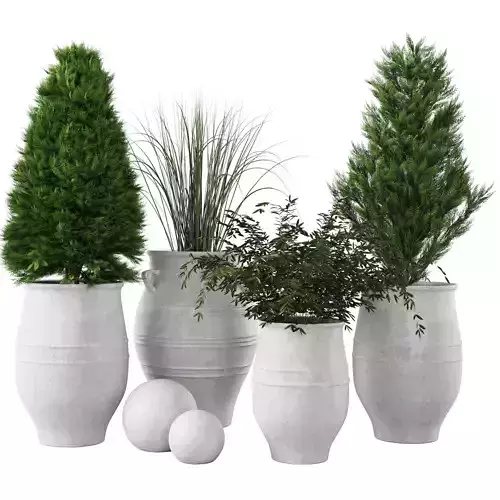 Collection of sienna potted plants