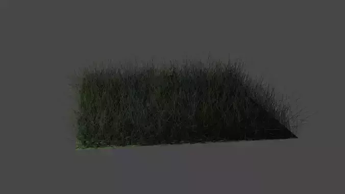 3d grasslands 