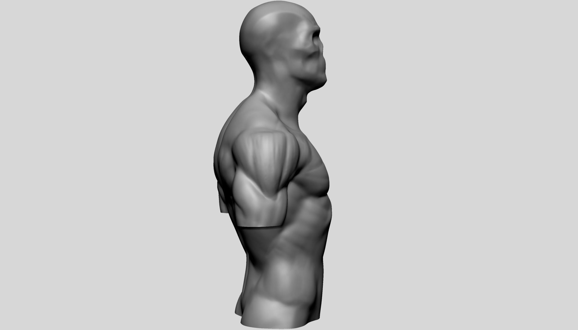 Male Upper Body for 3DPrint 3D print model_5