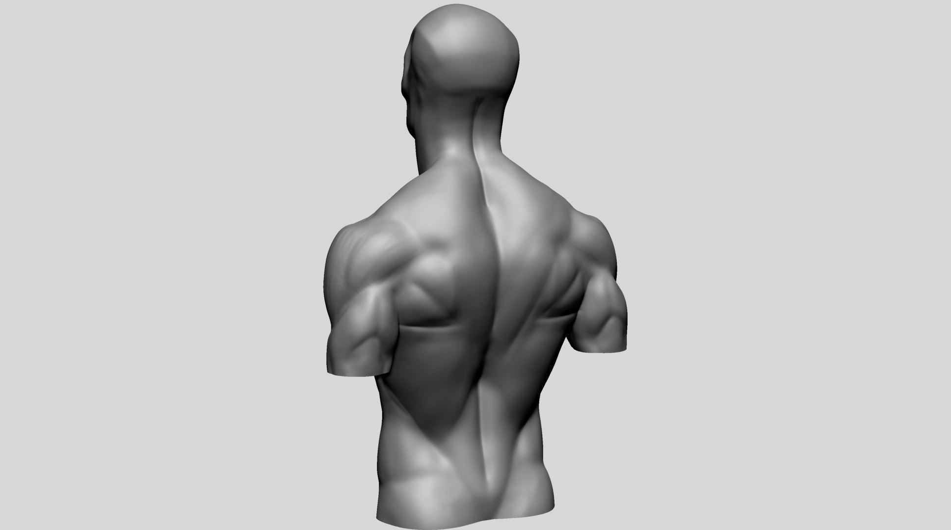 Male Upper Body for 3DPrint 3D print model_6