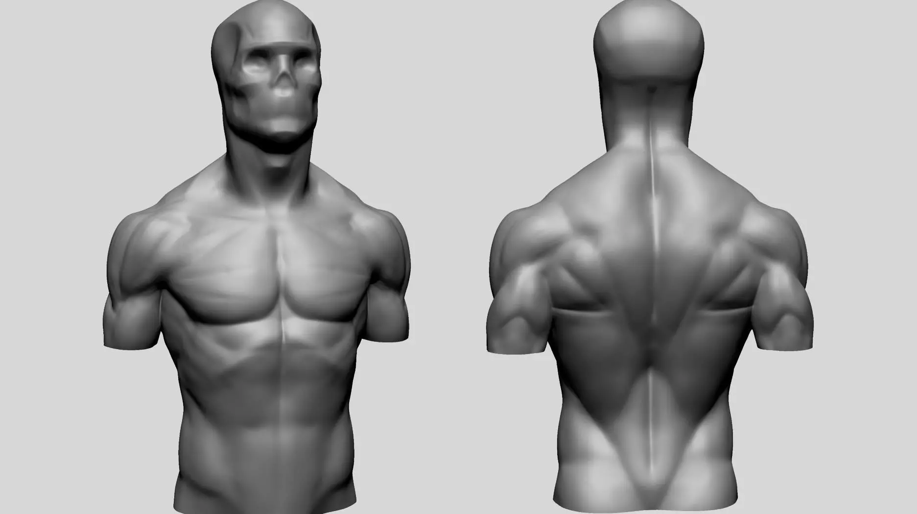 Male Upper Body for 3DPrint 3D print model_0