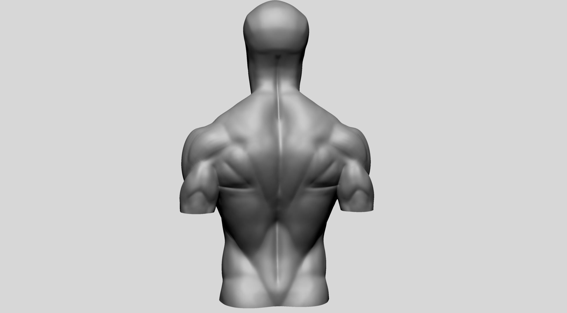Male Upper Body for 3DPrint 3D print model_2