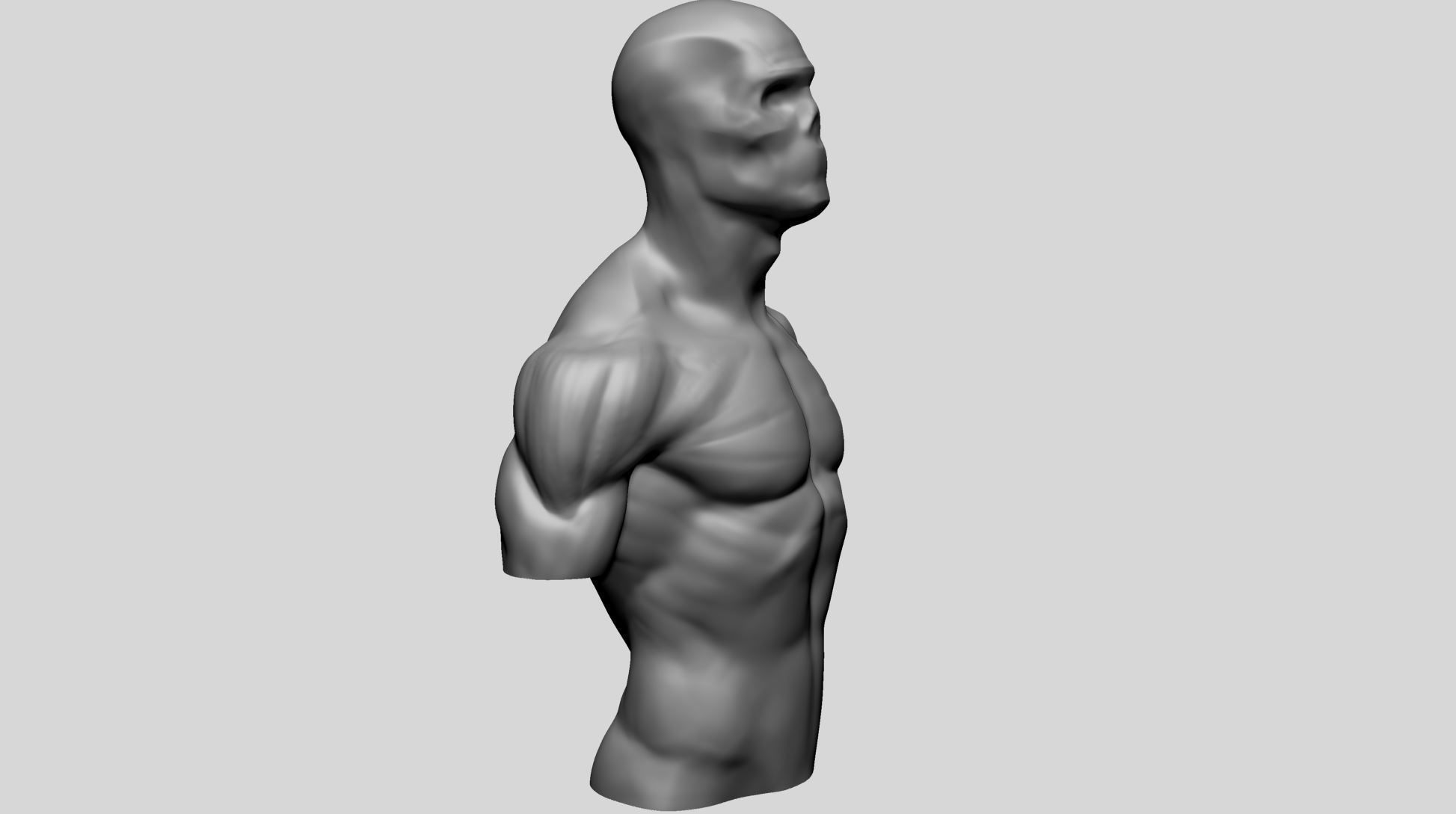 Male Upper Body for 3DPrint 3D print model_4