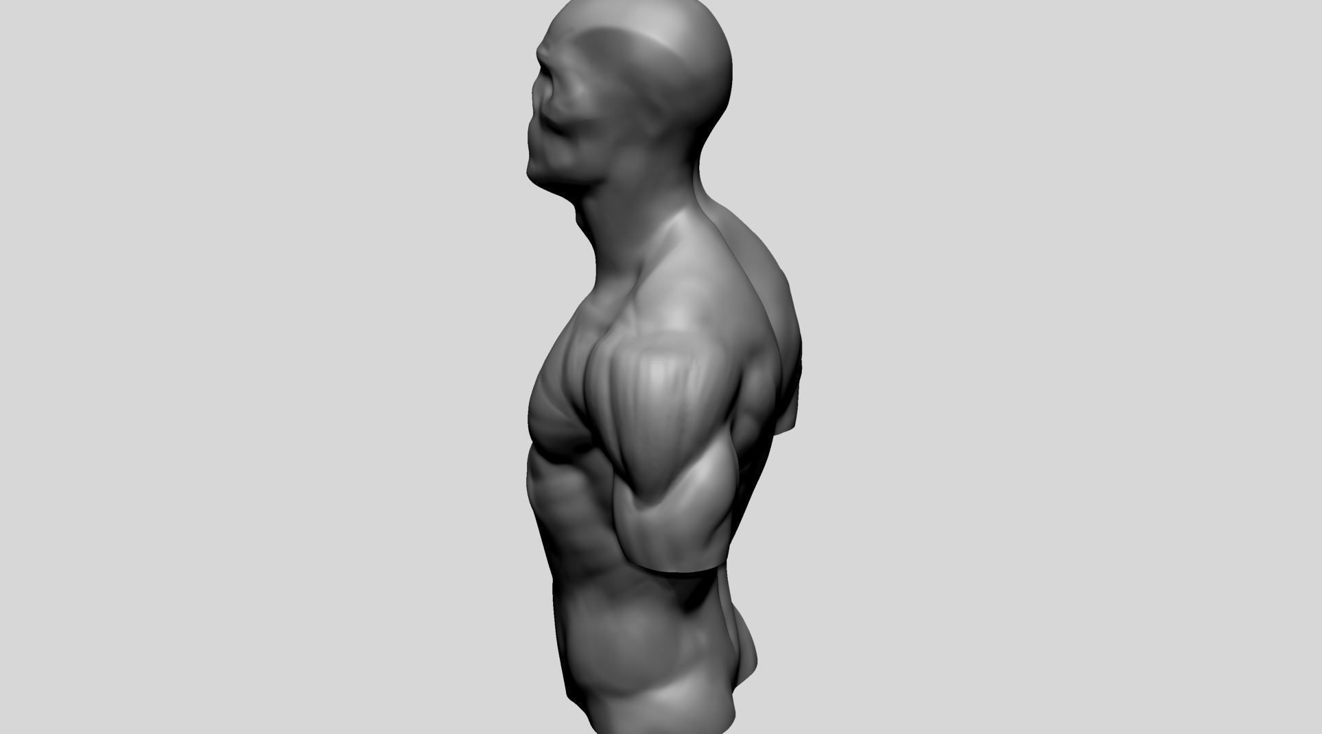 Male Upper Body for 3DPrint 3D print model_7