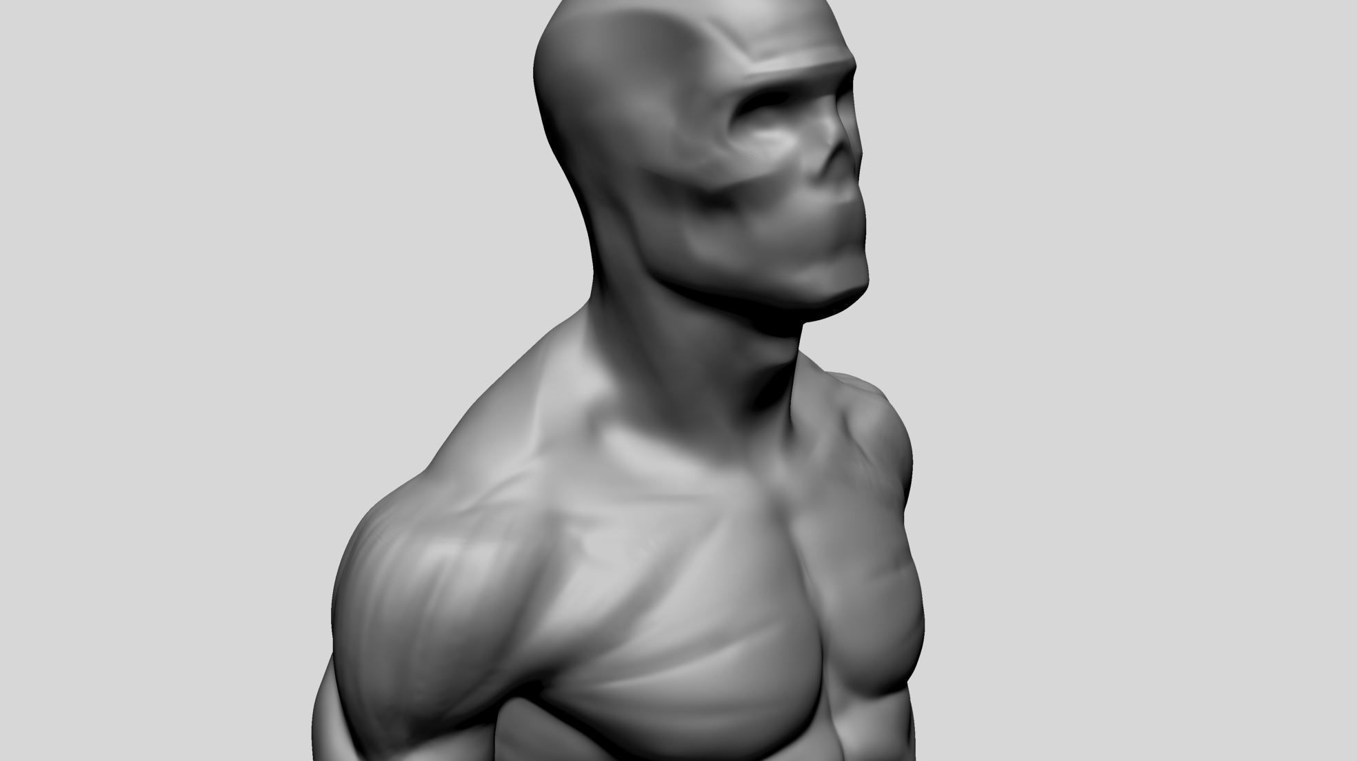 Male Upper Body for 3DPrint 3D print model_11