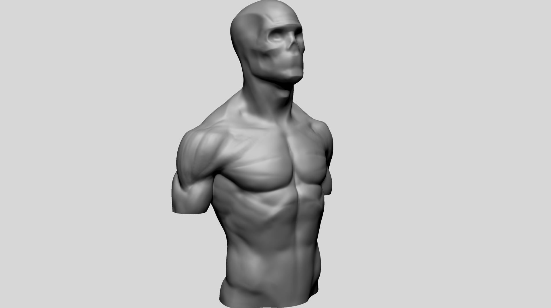 Male Upper Body for 3DPrint 3D print model_3