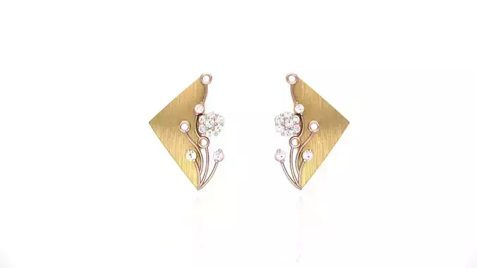 Studs Earrings - 25