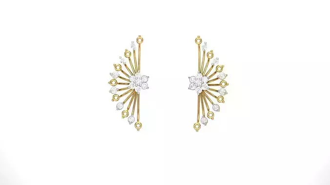 Studs Earrings - 24