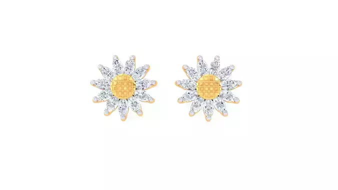 Studs Earrings - 40
