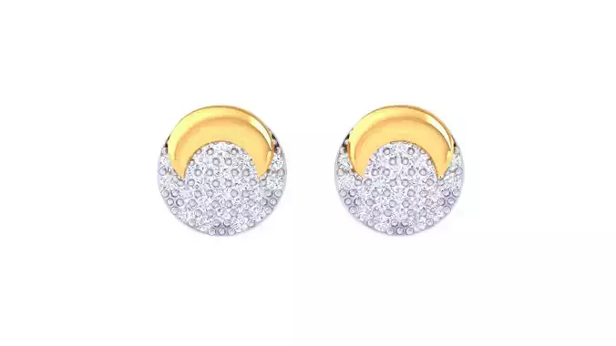 Studs Earrings - 29