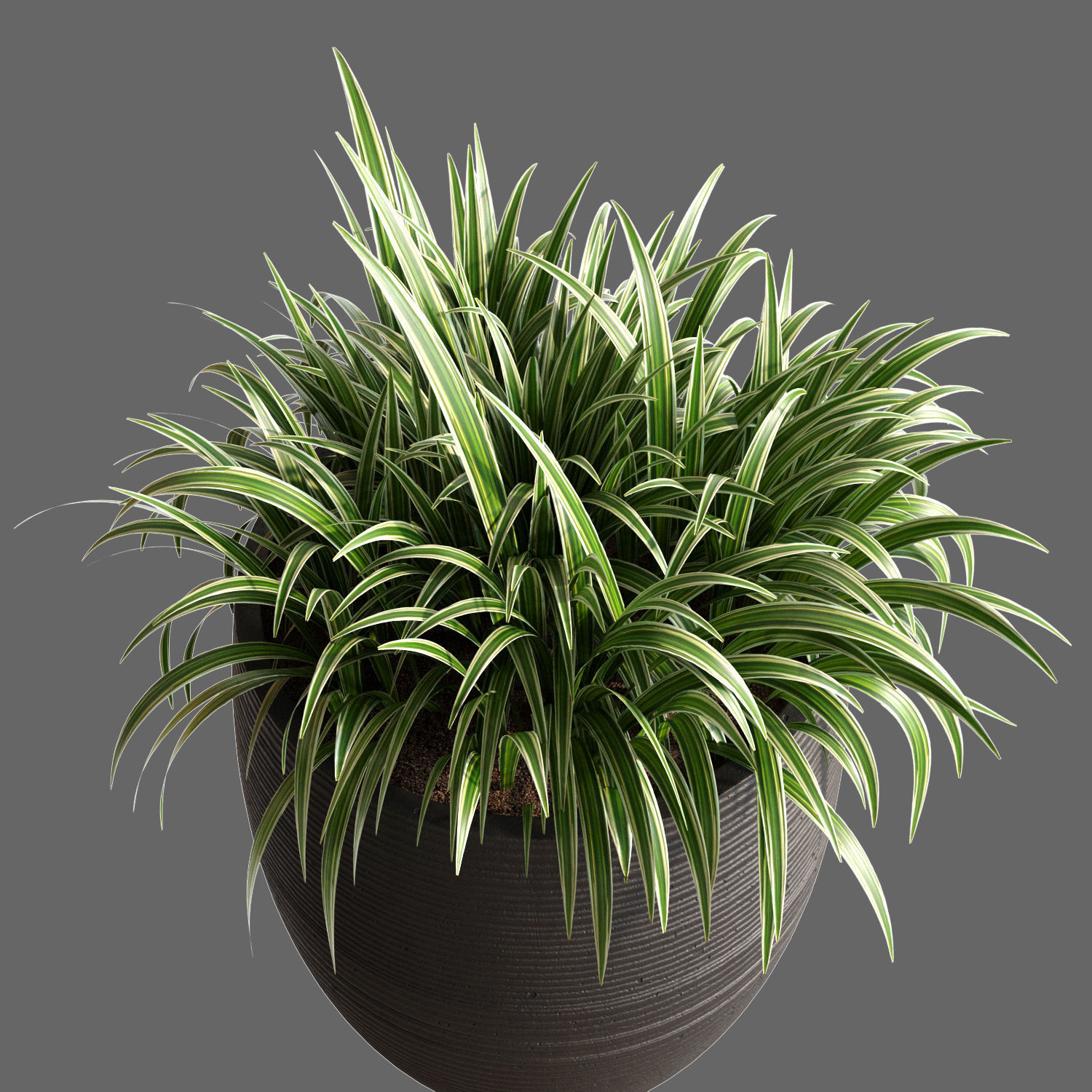Plant Collection Rpm 05 3D model_2