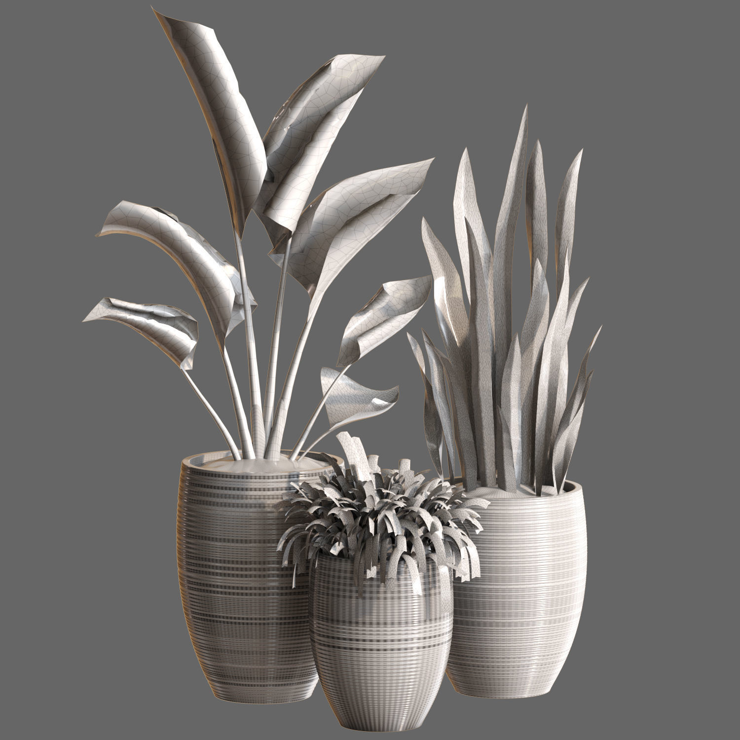 Plant Collection Rpm 05 3D model_1