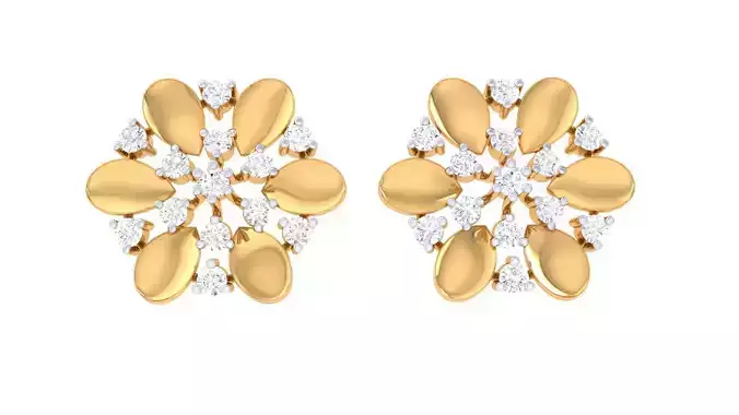 Studs Earrings - 18