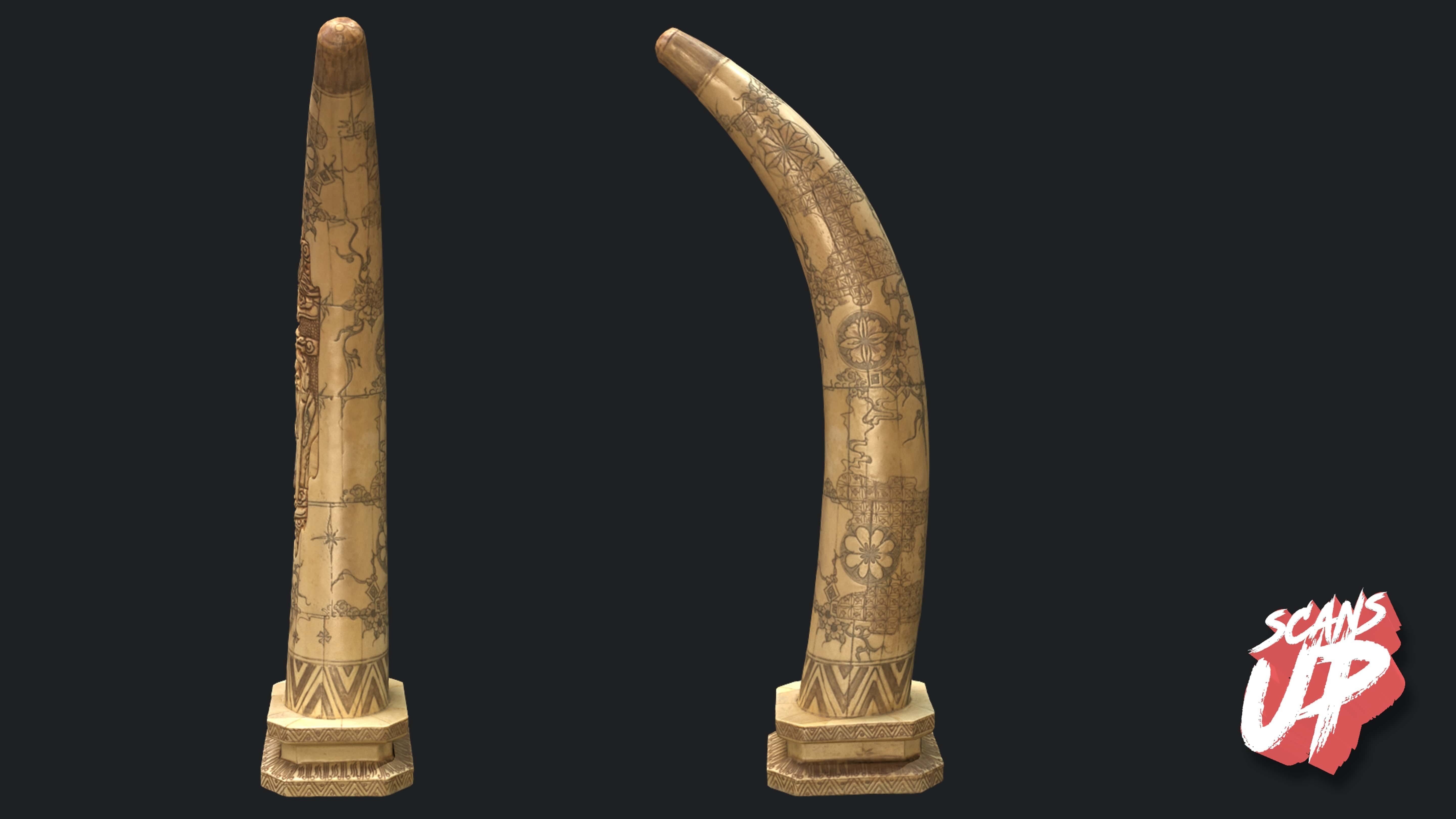 Tusk Decorative 01 - Stonelake3D Low-poly 3D model_1