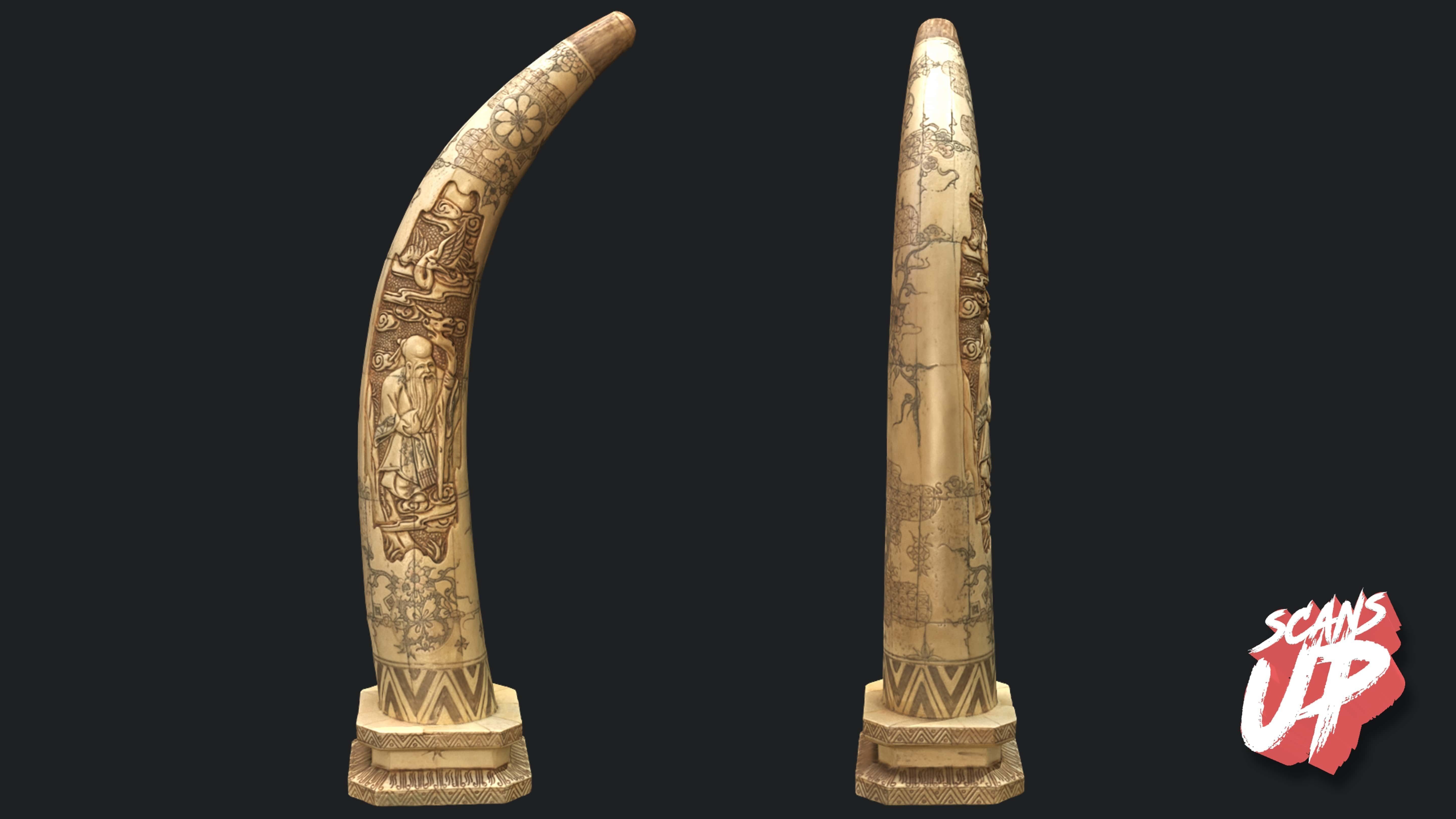 Tusk Decorative 01 - Stonelake3D Low-poly 3D model_2