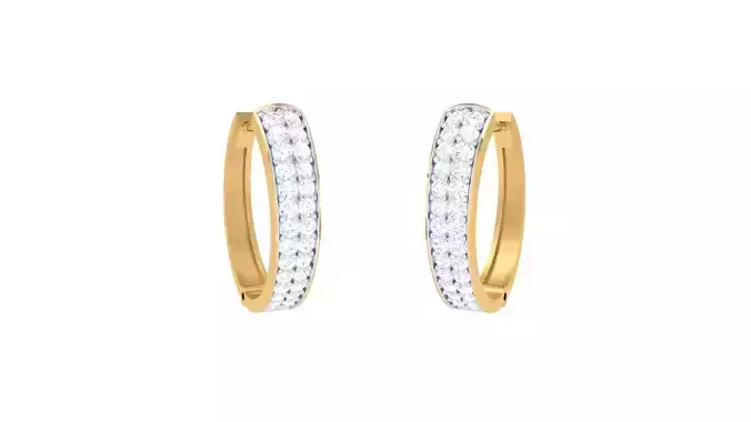 Hoops - Huggies Earrings - 12