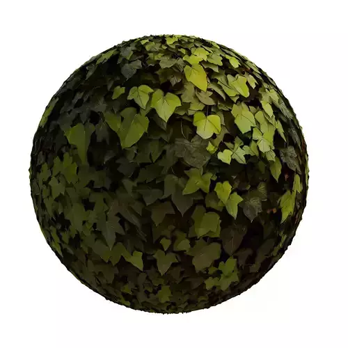 Seamless Tree Leaf Texture Texture