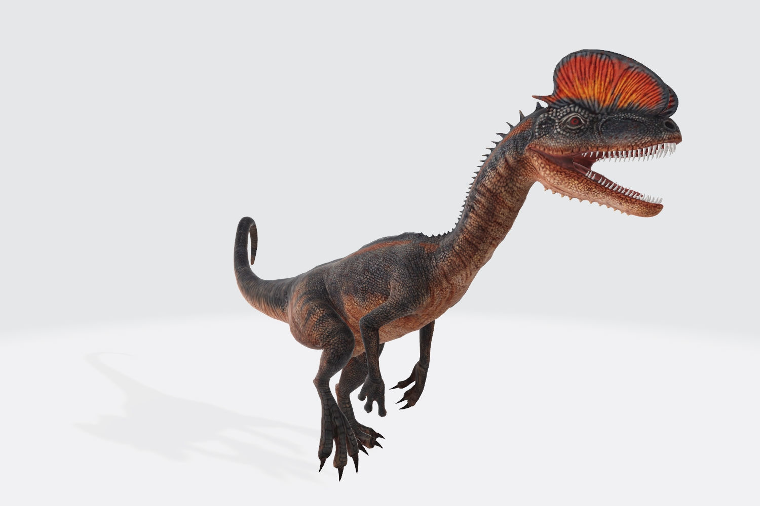 Dilophosaurus Dinosaur 3D Model Ready to Print 3D print model_3