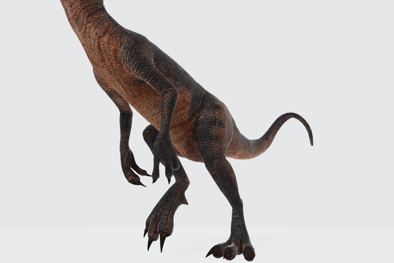 Dilophosaurus Dinosaur 3D Model Ready to Print 3D print model_8