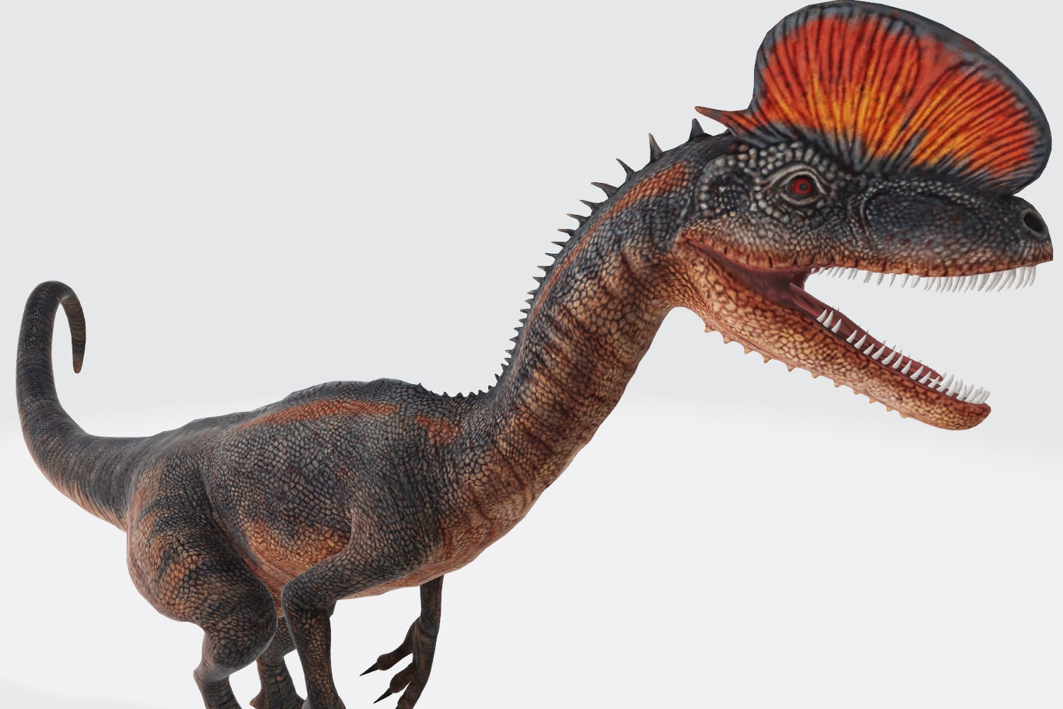 Dilophosaurus Dinosaur 3D Model Ready to Print 3D print model_7