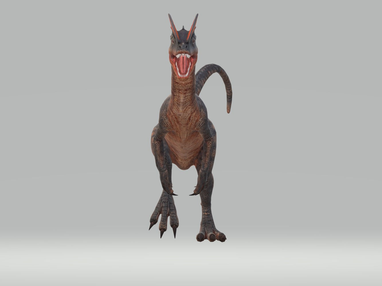 Dilophosaurus Dinosaur 3D Model Ready to Print 3D print model_4