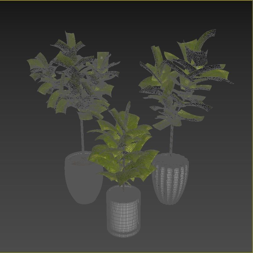 Plant Collection Rpm 07 3D model_3