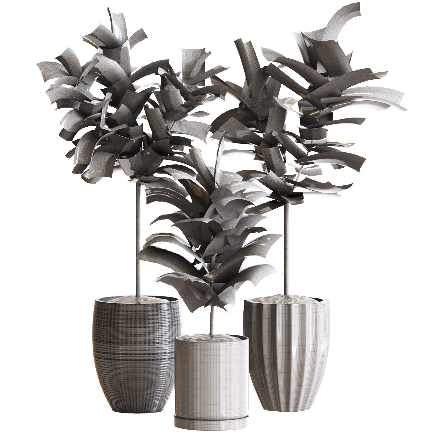 Plant Collection Rpm 07 3D model_1