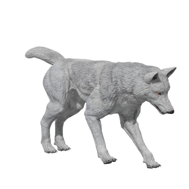Wolf Rigged Animated Low-poly 3D model_12