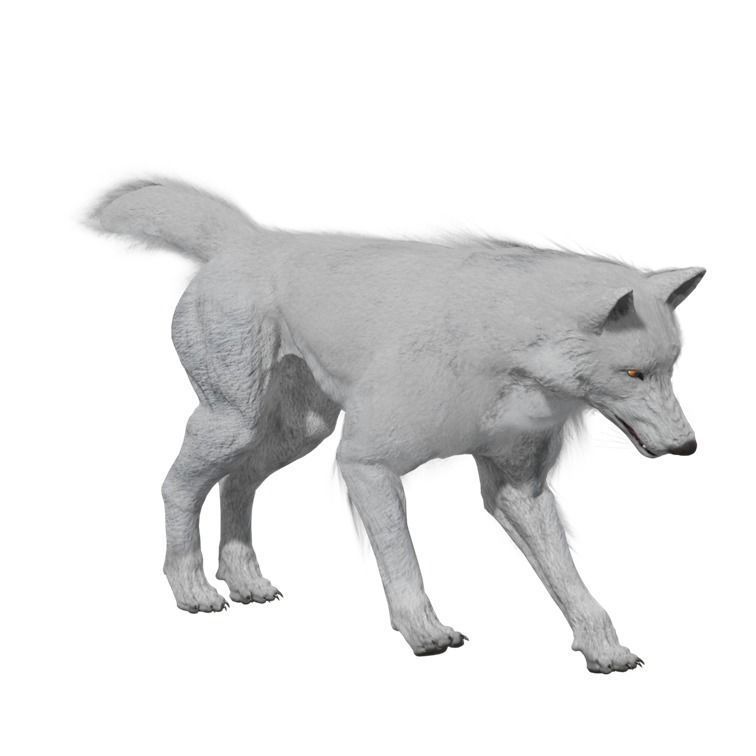 Wolf Rigged Animated Low-poly 3D model_2