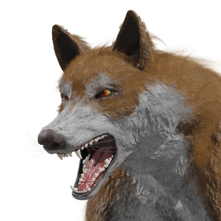 Wolf Rigged Animated Low-poly 3D model_34