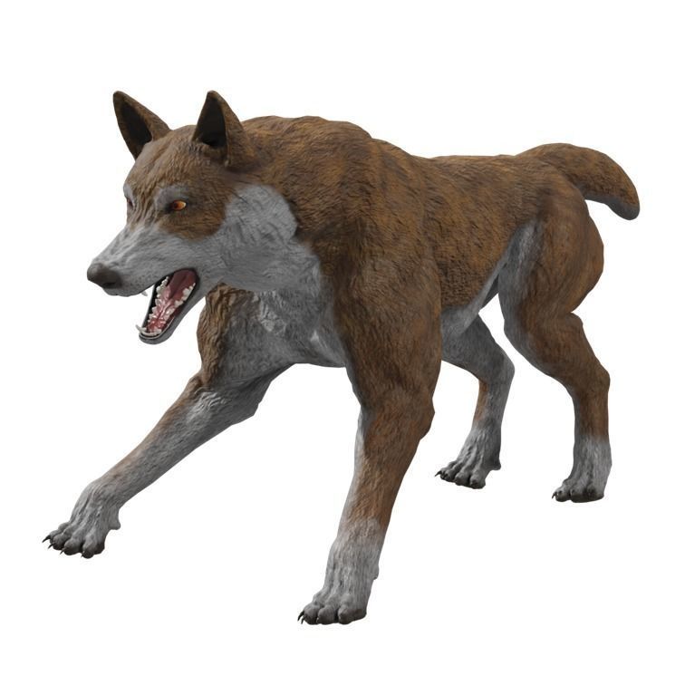Wolf Rigged Animated Low-poly 3D model_23