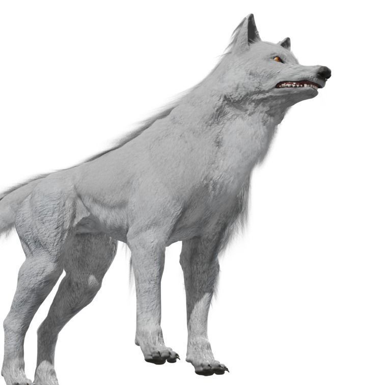 Wolf Rigged Animated Low-poly 3D model_17